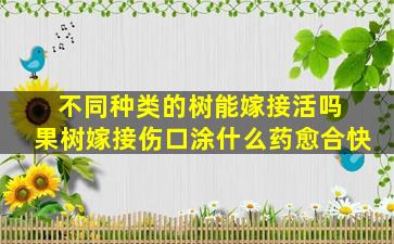 不同种类的树能嫁接活吗 果树嫁接伤口涂什么药愈合快